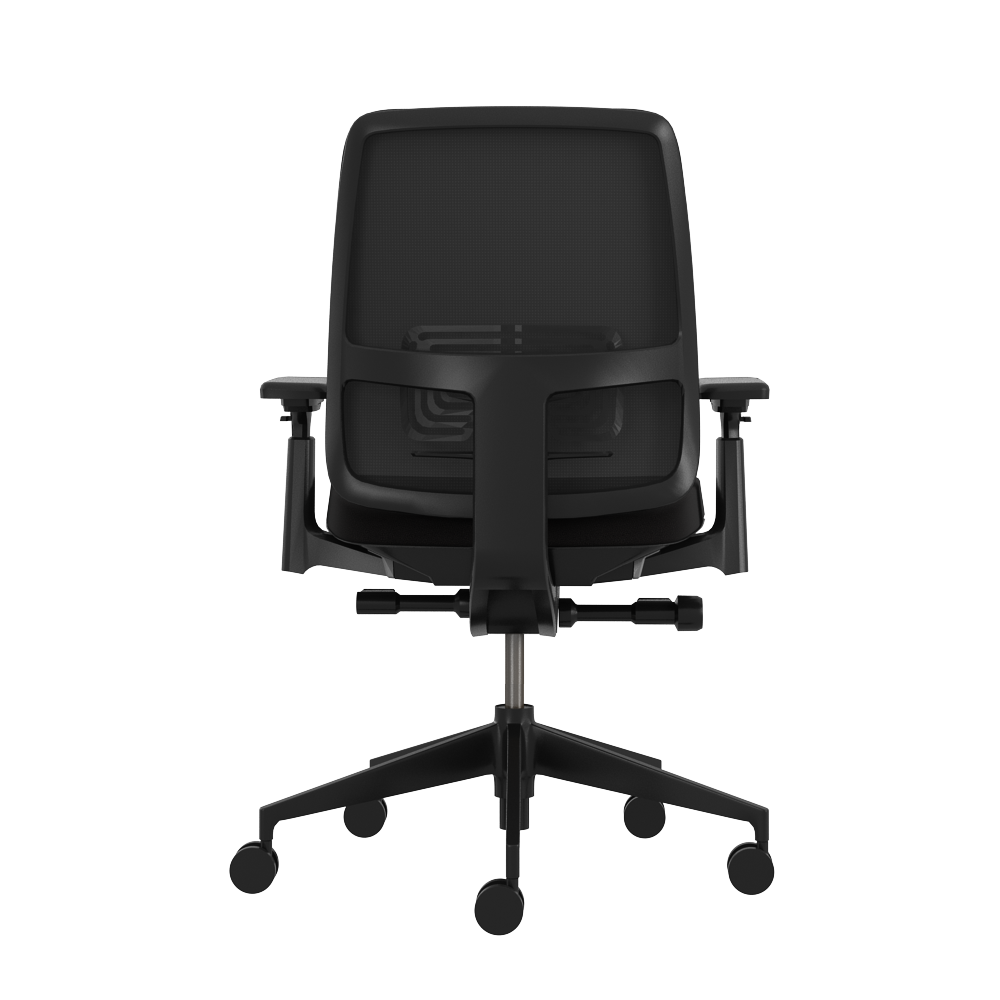 Lively_01_Back Lively_01_Back