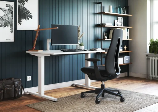 Home office setup, with Fern office chair and electric standing desk