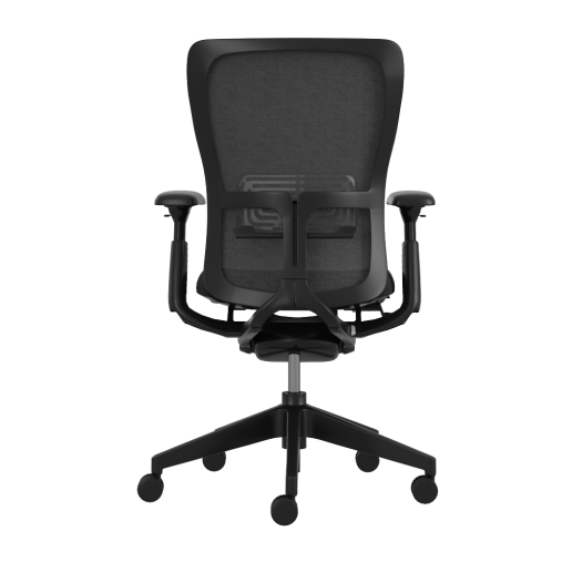 ZODY_02(AP)_Back ZODY_02(AP)_Back