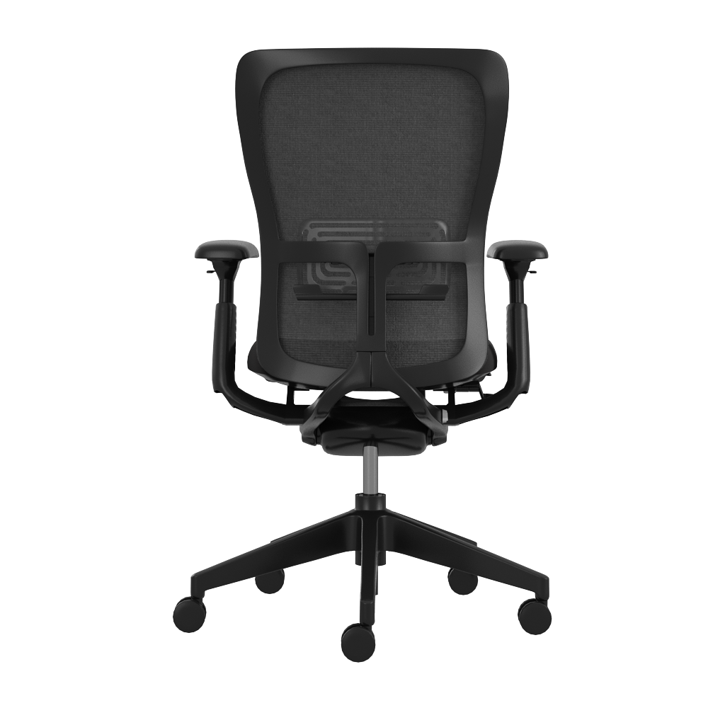 ZODY_02(AP)_Back ZODY_02(AP)_Back