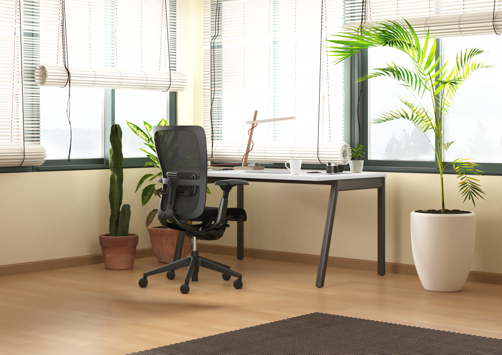 INTUITY_ZODY_FINAL_00_1400px INTUITY_ZODY_FINAL_00_1400px